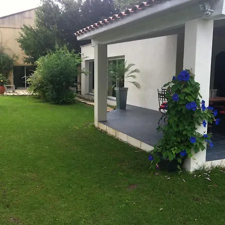 Revees Au Pin Parasol